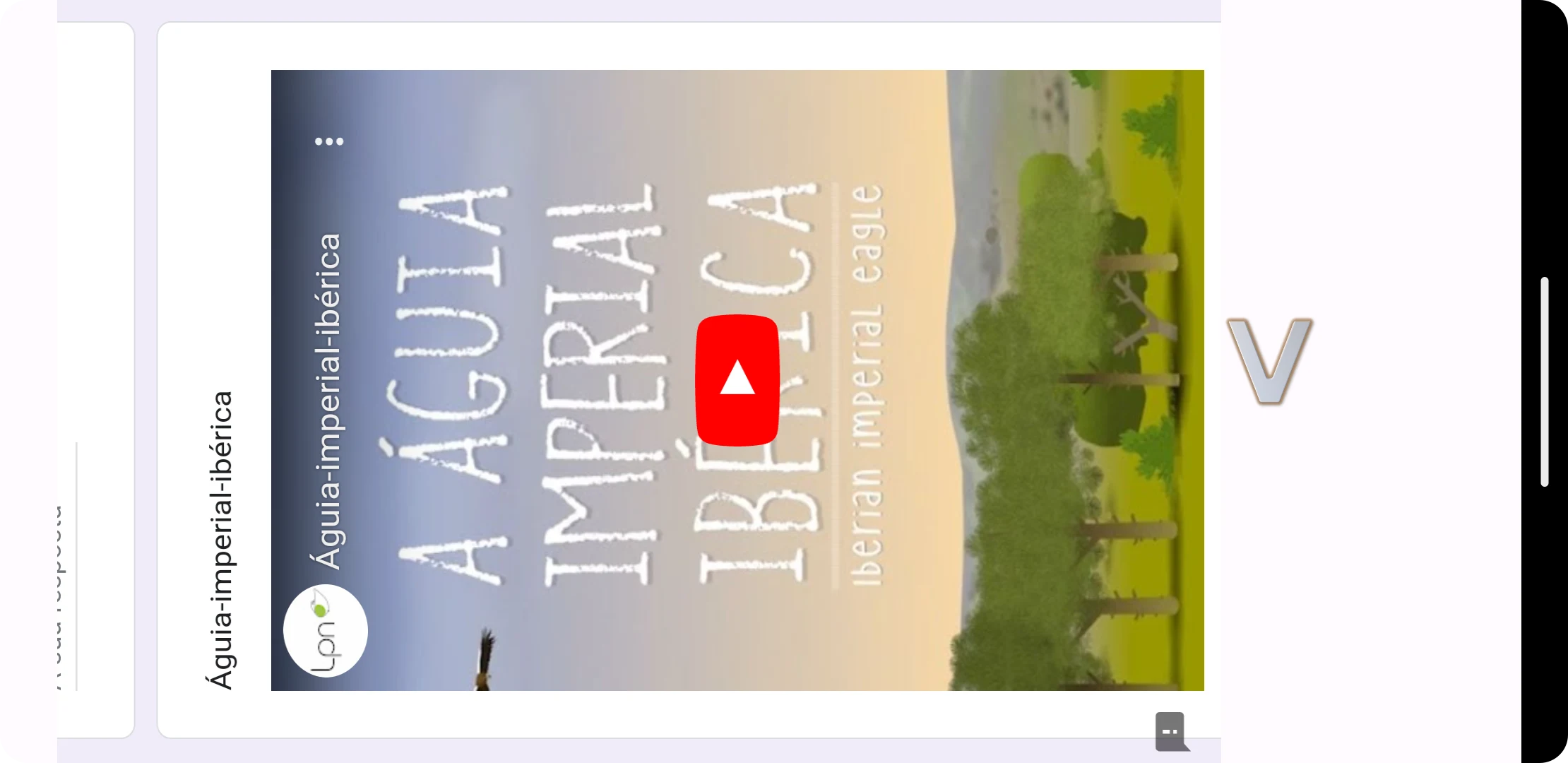 Águia-imperial-ibérica V5E screenshot
