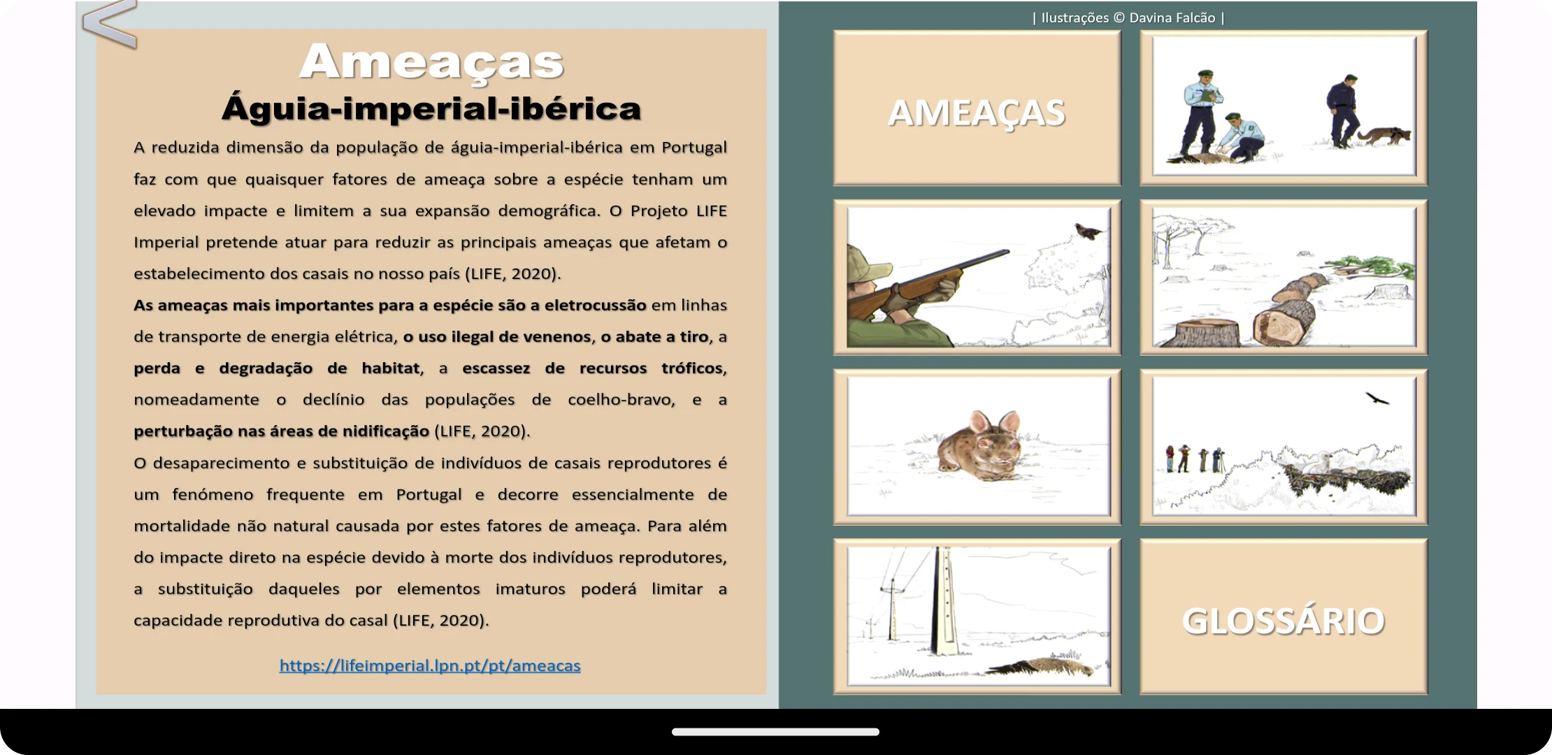 Águia-imperial-ibérica V5E screenshot